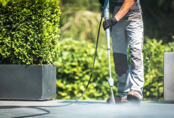 Best Rust Removal  in Lake Placid, FL